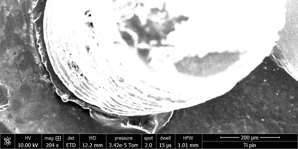 Bright electron microscope photo of fiber optic pin.